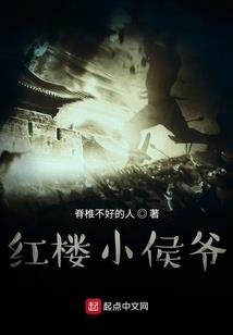 斗罗大陆之巧不成书