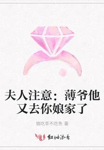 征途与迷航