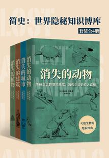 顾十七的花样年华