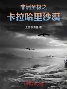 灵心一笑倾我城