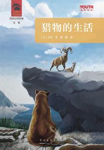 梦幻传奇大主播