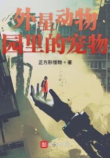 请叫我，齐天灰灰